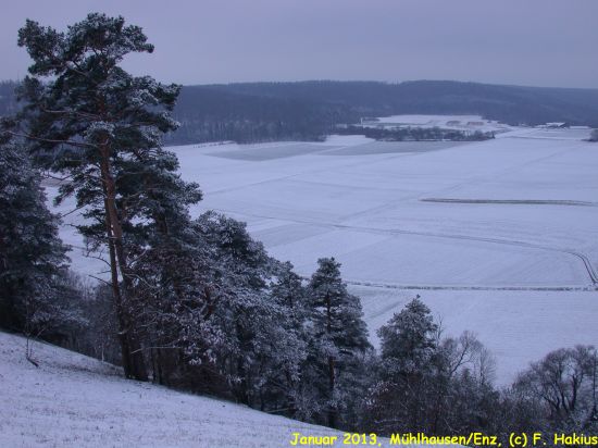 Januar 2013