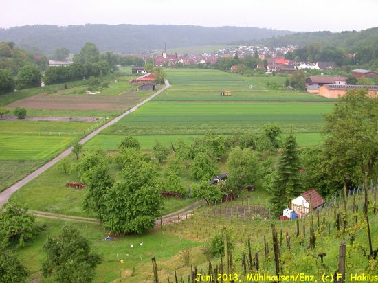 Juni 2013