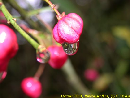 Oktober 2013