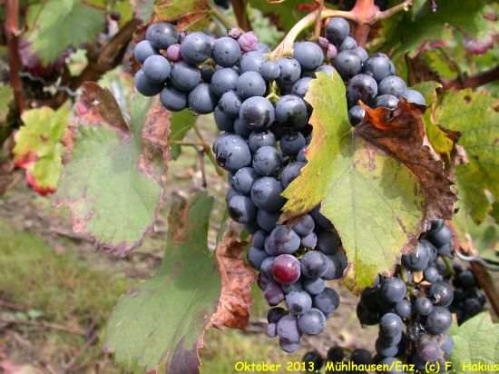 Oktober 2013