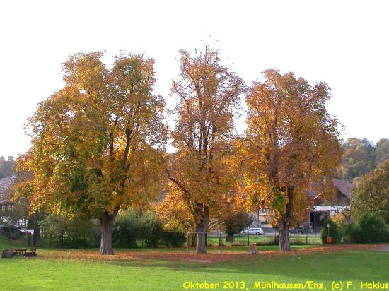 Oktober 2013