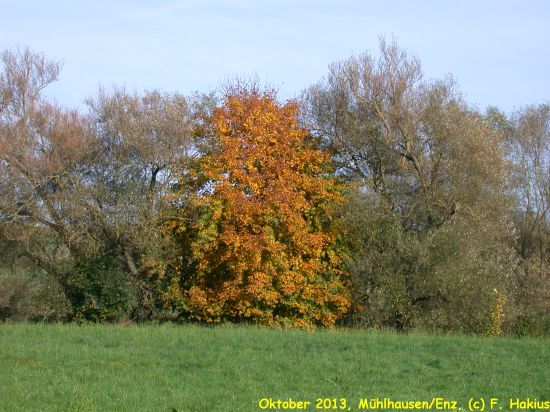 Oktober 2013