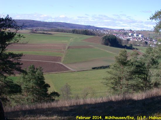 Februar 2014
