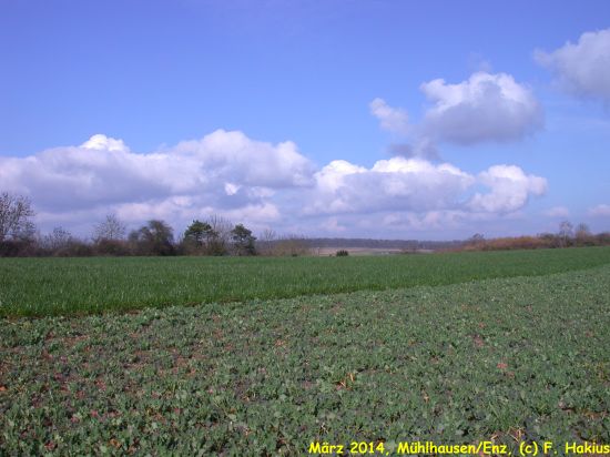 März 2014