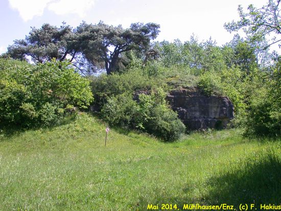 Mai 2014