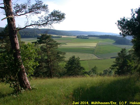 Juni 2014