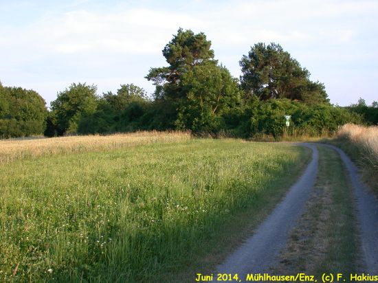Juni 2014
