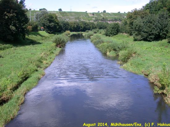 August 2014