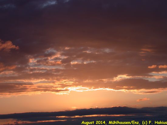 August 2014