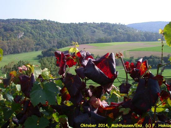 Oktober 2014