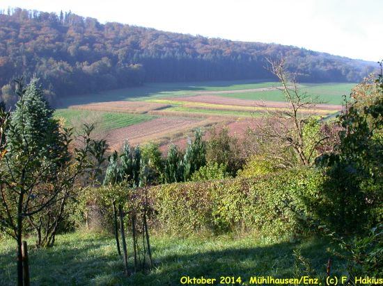Oktober 2014