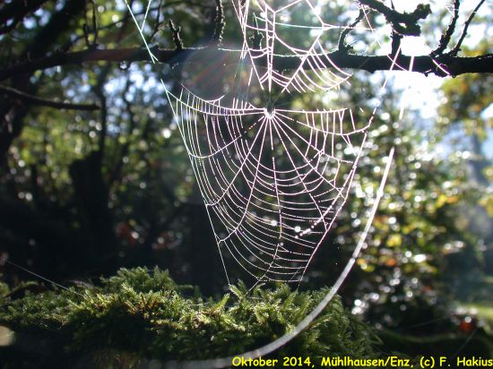 Oktober 2014