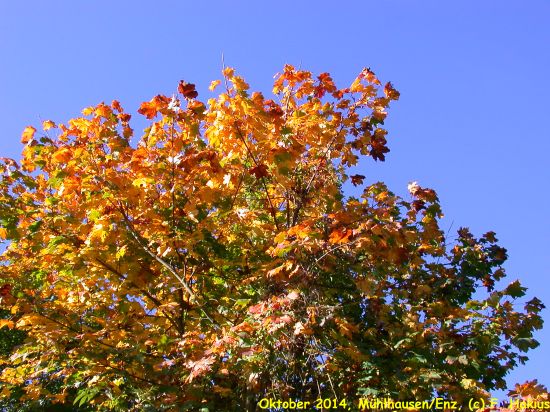 Oktober 2014
