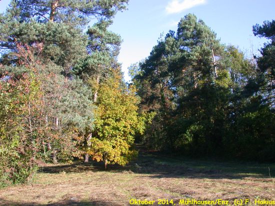 Oktober 2014
