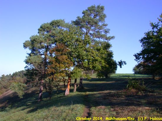 Oktober 2014