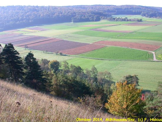 Oktober 2014