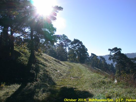 Oktober 2014