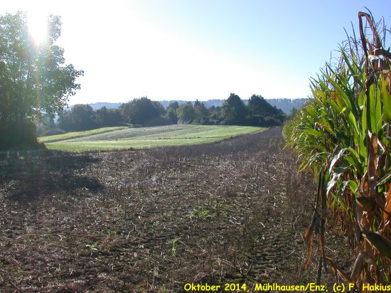 Oktober 2014