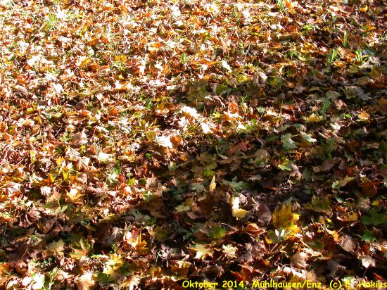 Oktober 2014