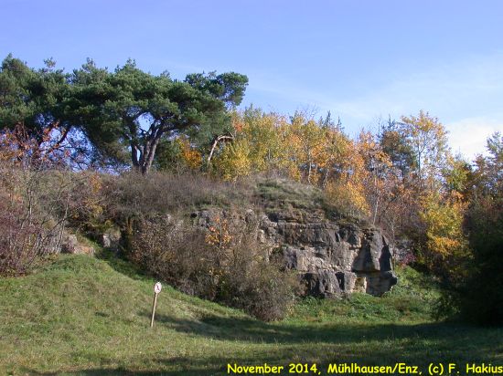 November 2014