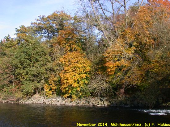 November 2014