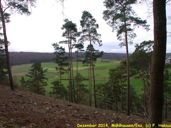 Dezember 2014