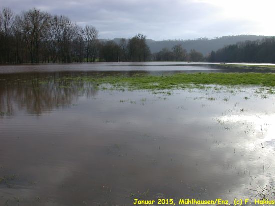 Januar 2015