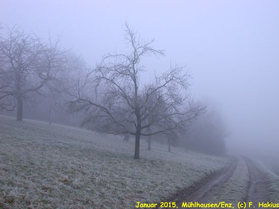 Januar 2015