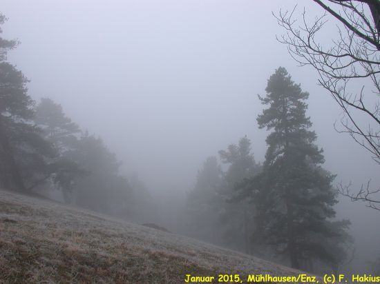 Januar 2015