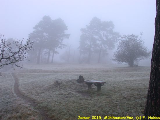 Januar 2015