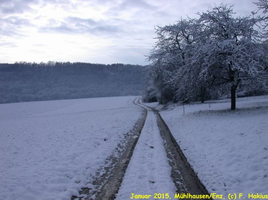 Januar 2015