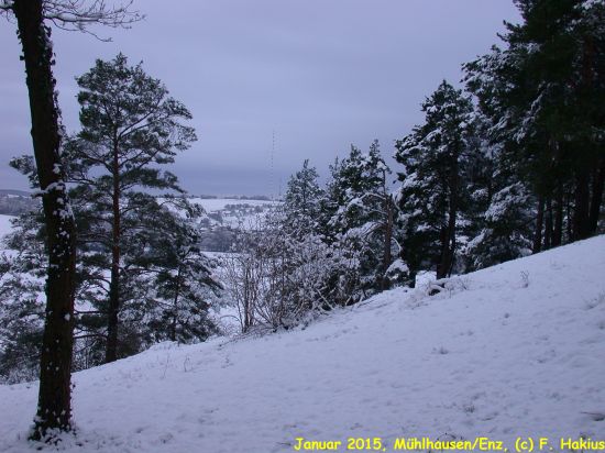 Januar 2015