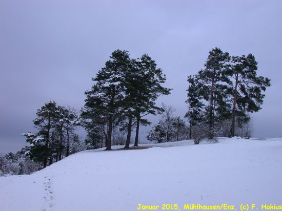 Januar 2015
