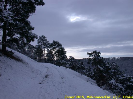 Januar 2015