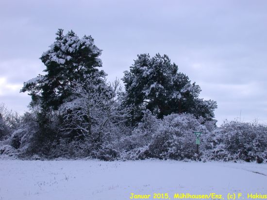 Januar 2015