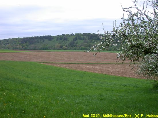 Mai 2015