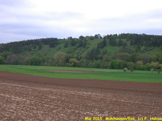 Mai 2015