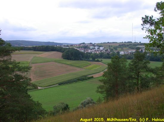 August 2015