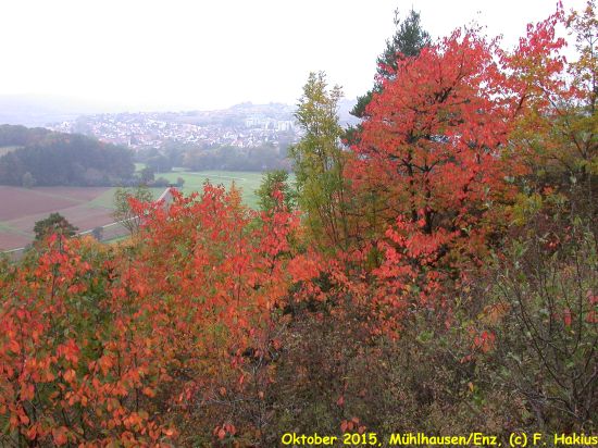 Oktober 2015