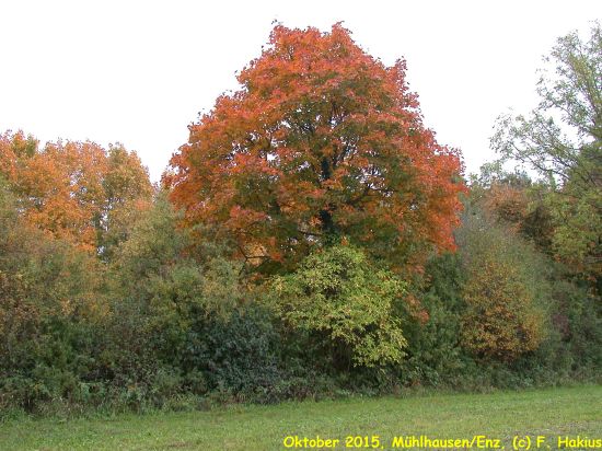 Oktober 2015