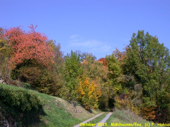 Oktober 2015