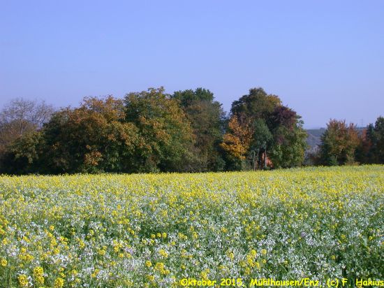 Oktober 2015
