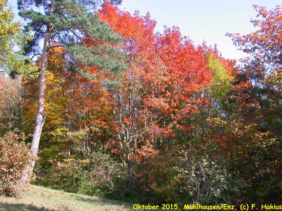 Oktober 2015
