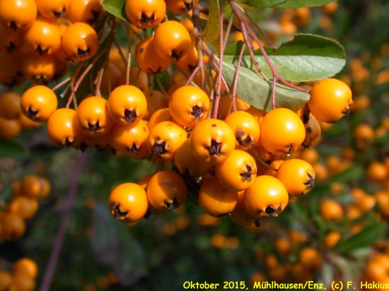 Oktober 2015