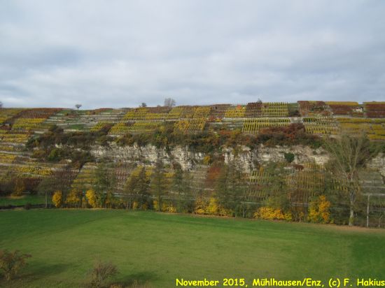 November 2015