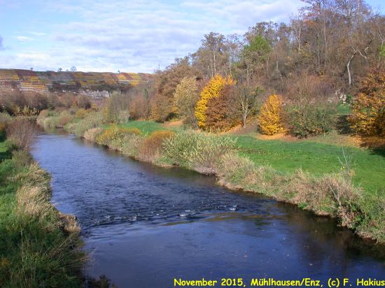 November 2015