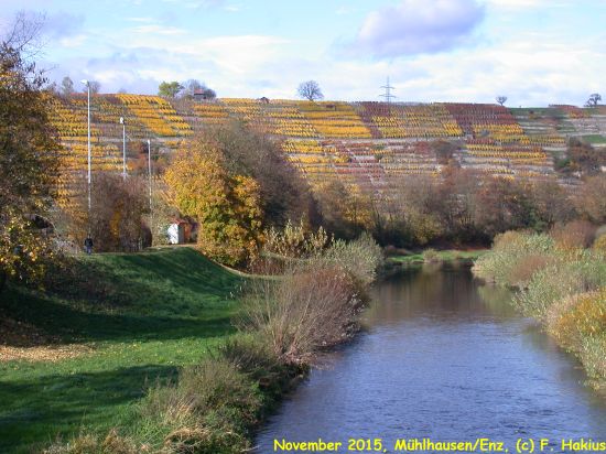November 2015