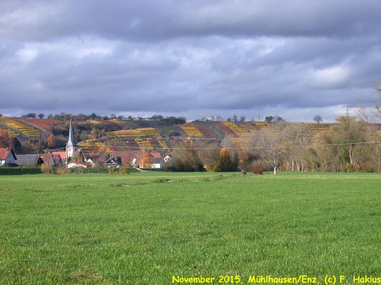November 2015