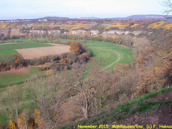 November 2015