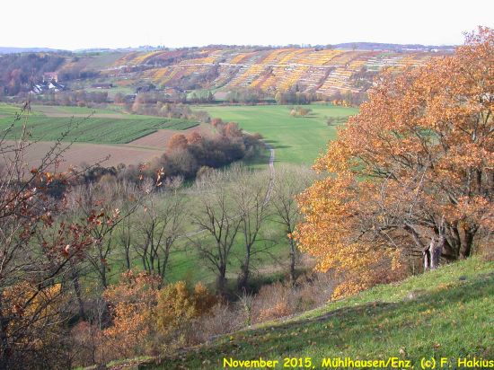 November 2015